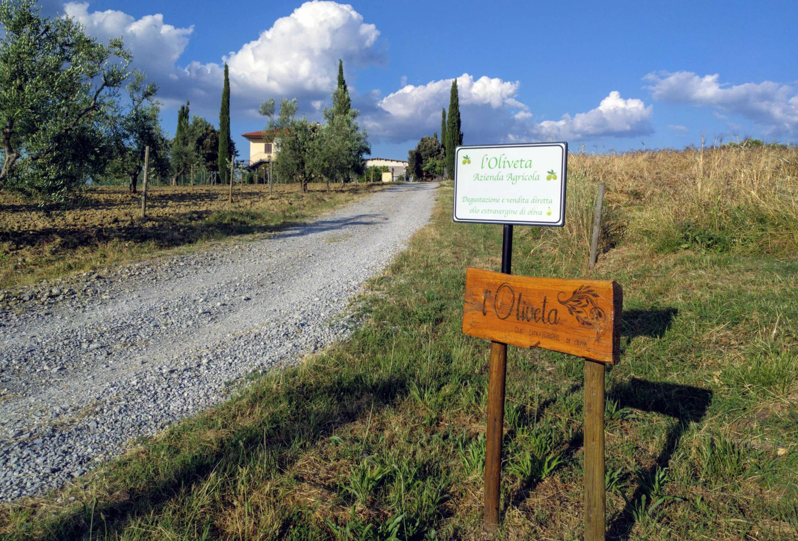 Giugno, un'ora prima del tramonto