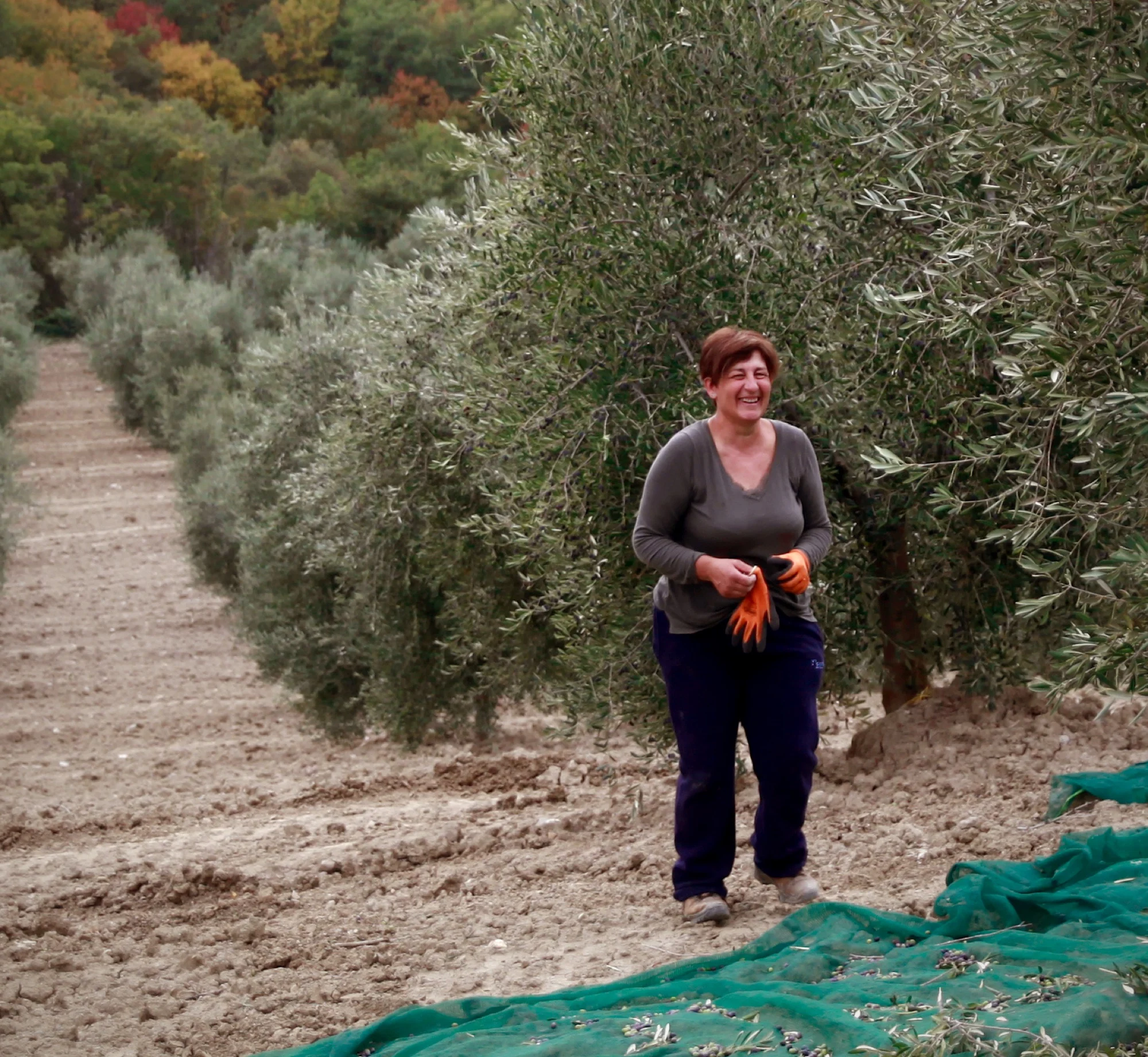 Roberta tra i filari, in un giorno di raccolta